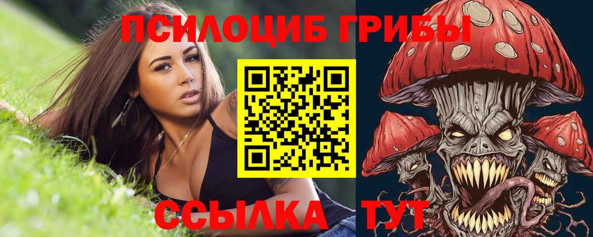 Псилоцибиновые грибы Cubensis Ачхой-Мартан